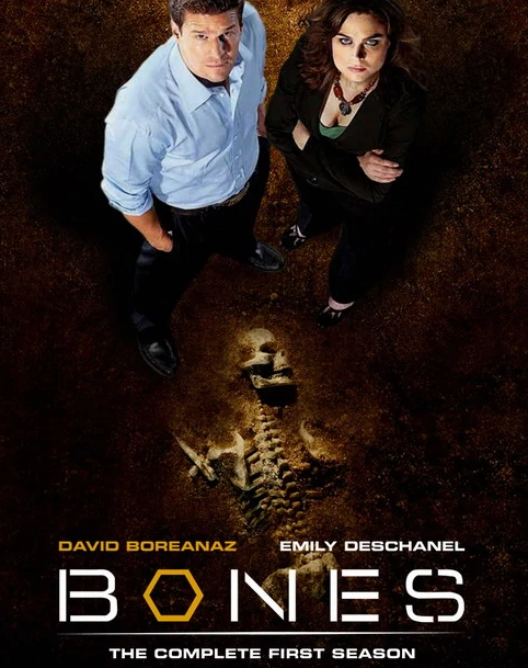 威廉·斯坦福德·戴维斯