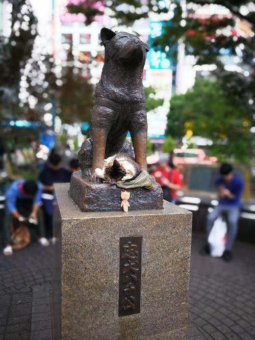 忠犬八公的故事