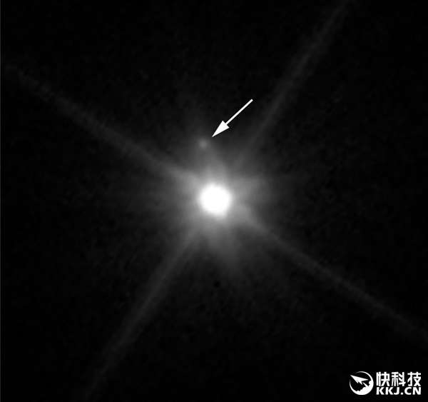 鸟卫一
