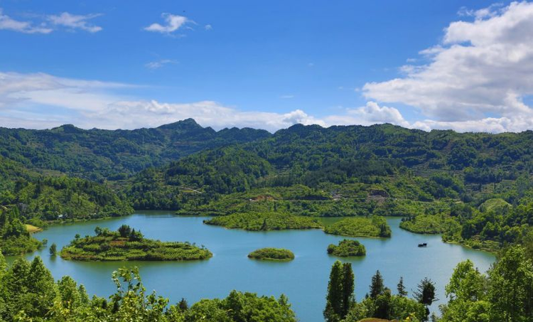 赤水市