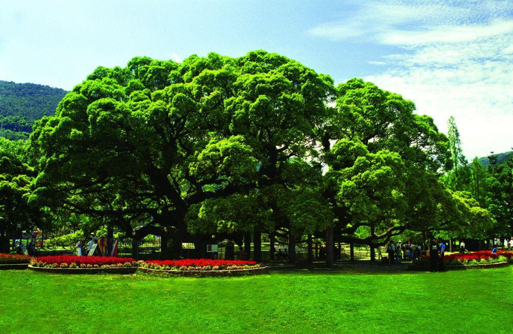 福州国家森林公园