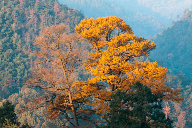 平江县