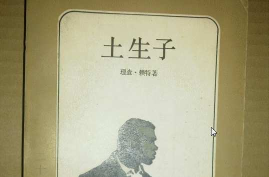土生子