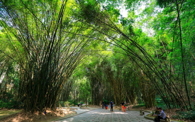 福州国家森林公园