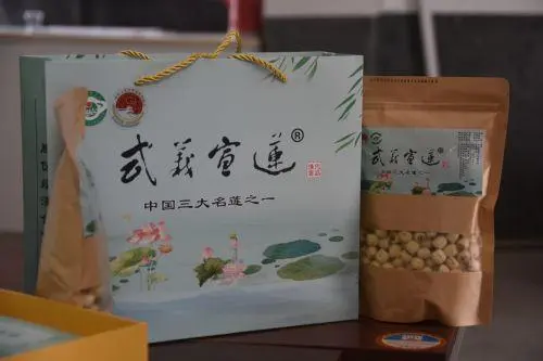 武义县