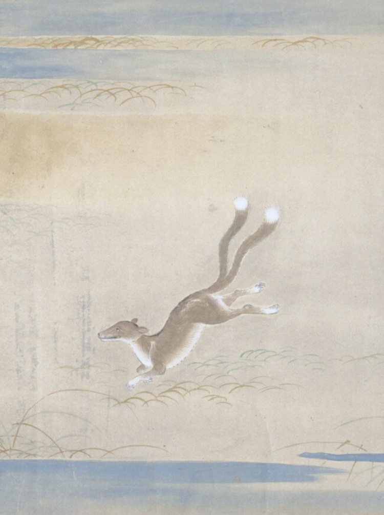 玉藻前