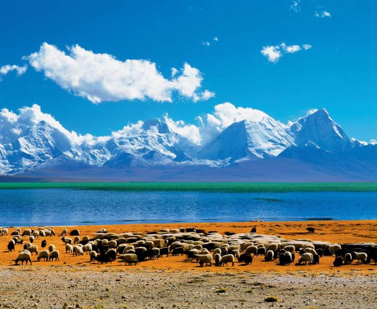 亚东县