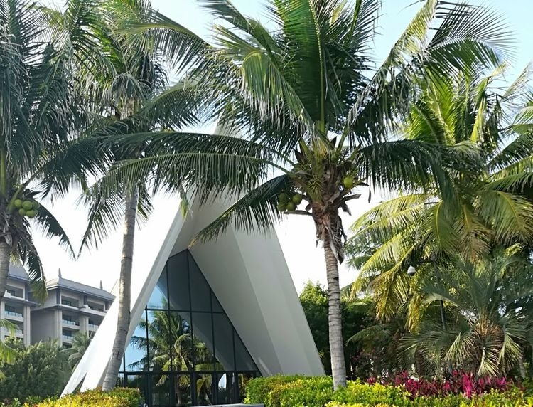 清水湾旅游度假区