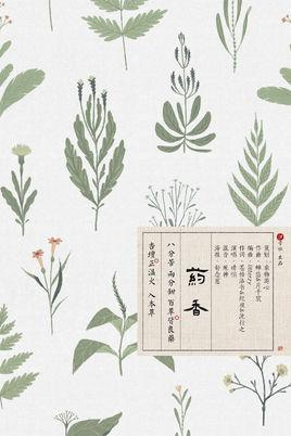 爱情悠悠药草香