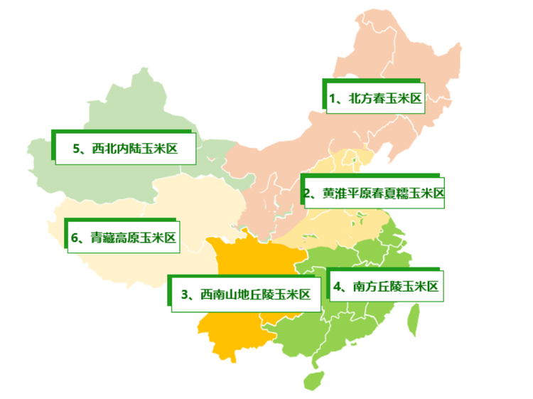 糯玉米