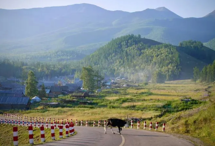 新疆维吾尔自治区