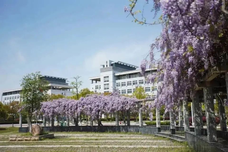 安庆师范大学