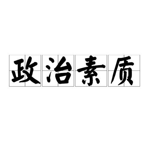 政治素质