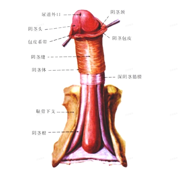 截屏2023-11-05 06.29.png