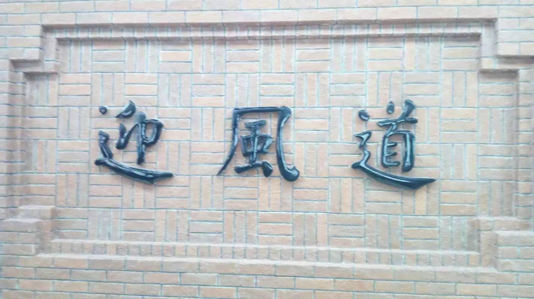 迎风道站