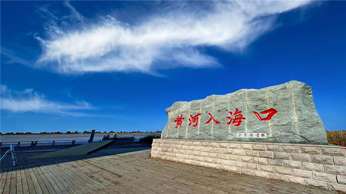 垦利区