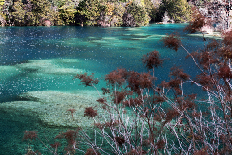 四川阿坝九寨沟美景如画