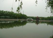 河南信息工程专修学校