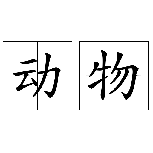 动物
