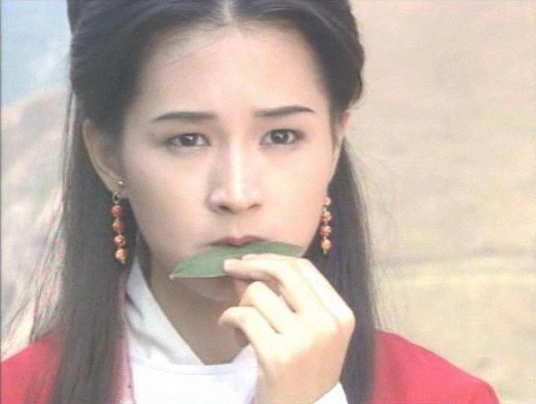 碧血青天杨家将