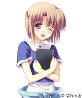 时时晴朗的天气雨