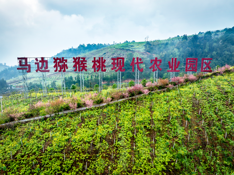 马边彝族自治县