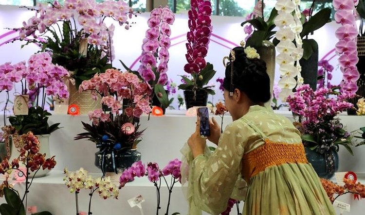 2023年海峡两岸现代农业博览会