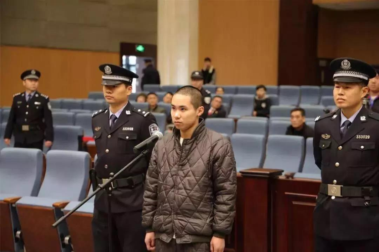2019年度人民法院十大刑事案件