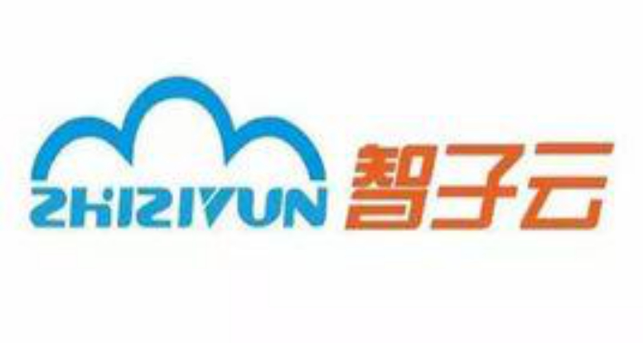 上海智子信息科技股份有限公司