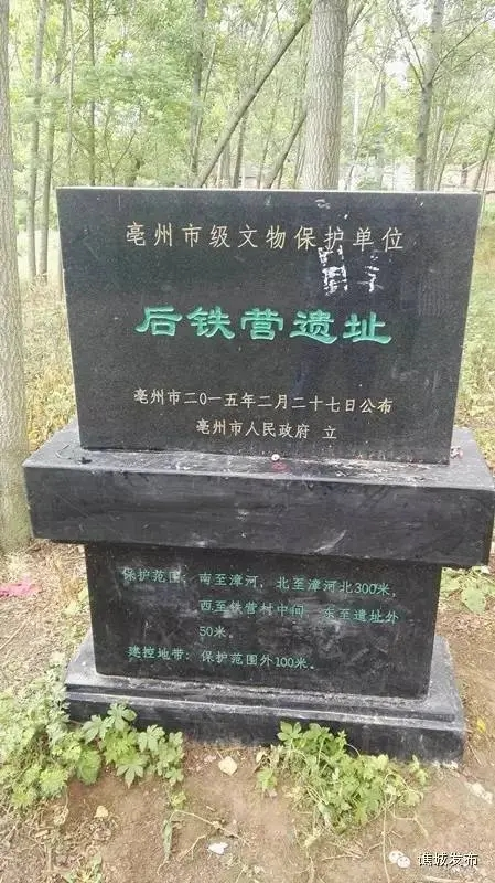 涡河