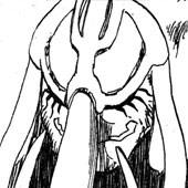 死神