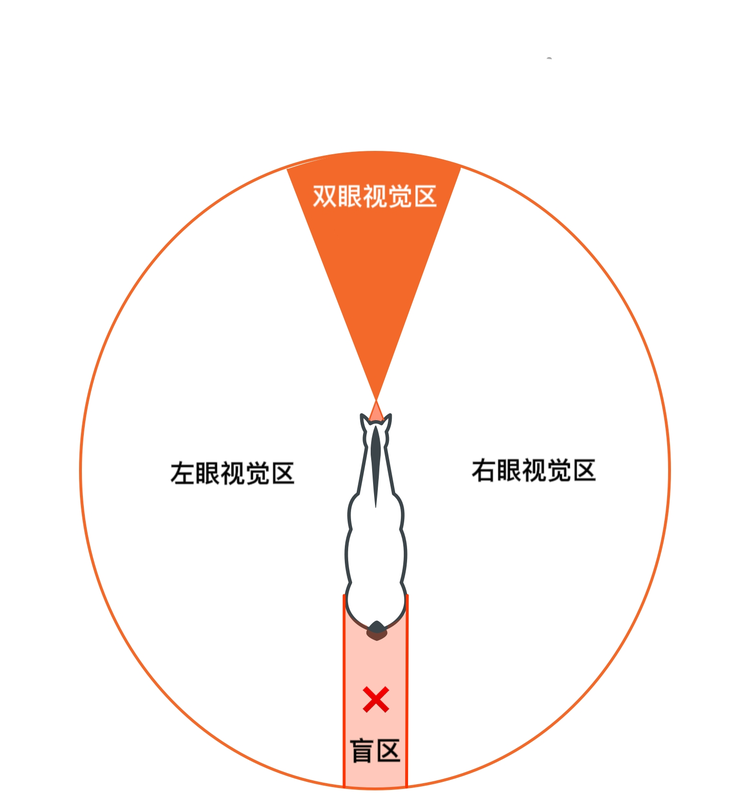 马