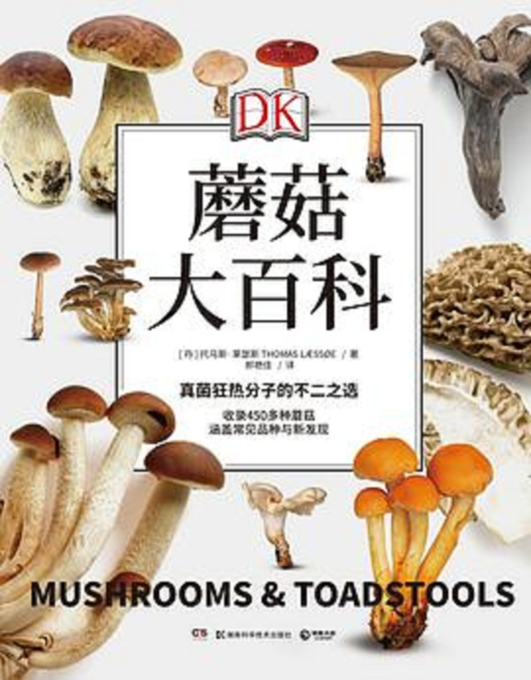 托马斯·莱瑟斯