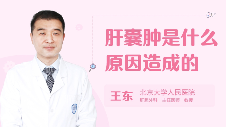 王东教授