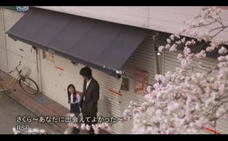 樱花樱花，想见你