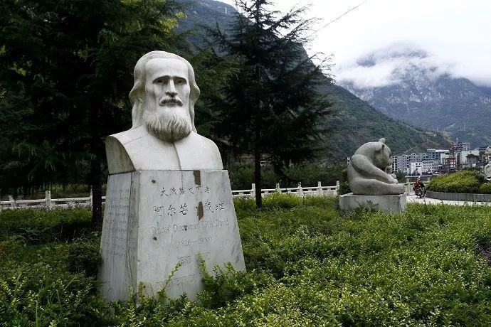 阿尔芒・戴维德