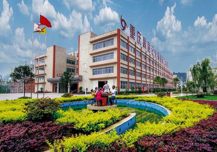 九龙坡区