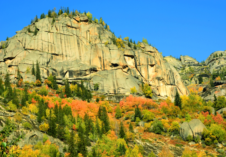 新疆维吾尔自治区