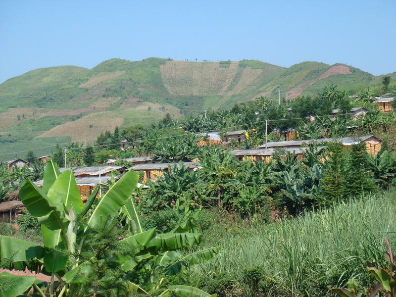麻栗树自然村