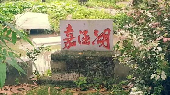 广西平果高级中学