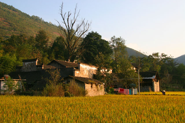 滚龙坝村