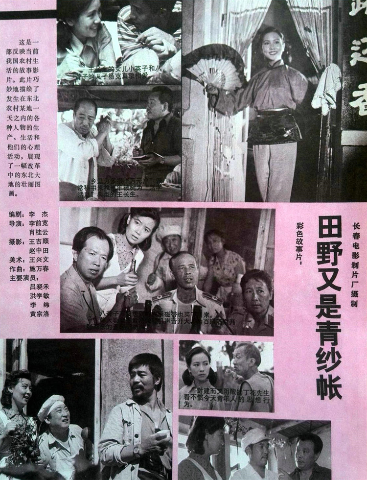 韩月乔