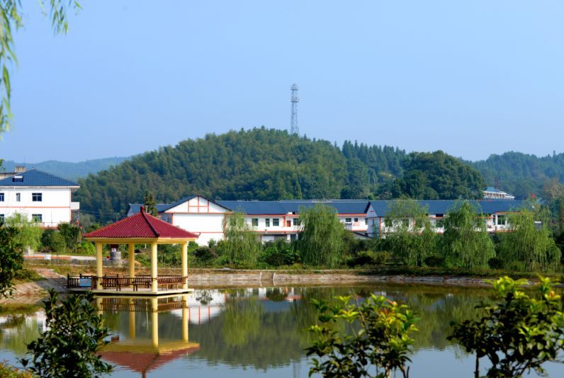 高庄村
