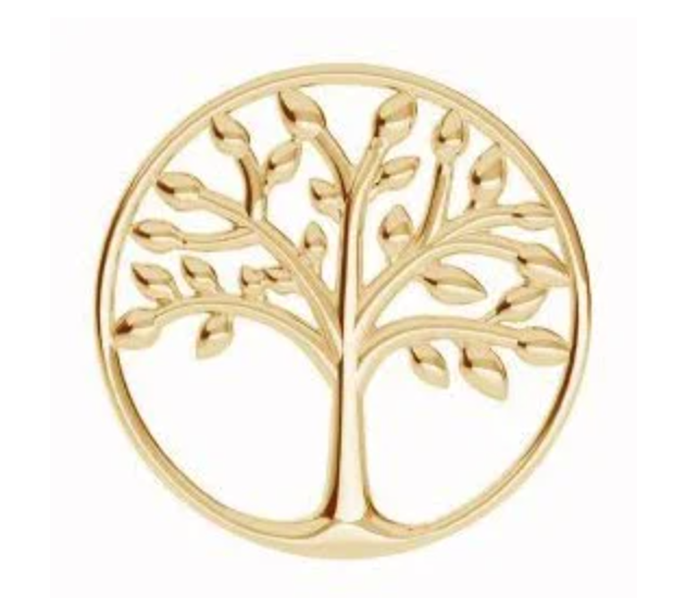 耶稣基督后期圣徒教会