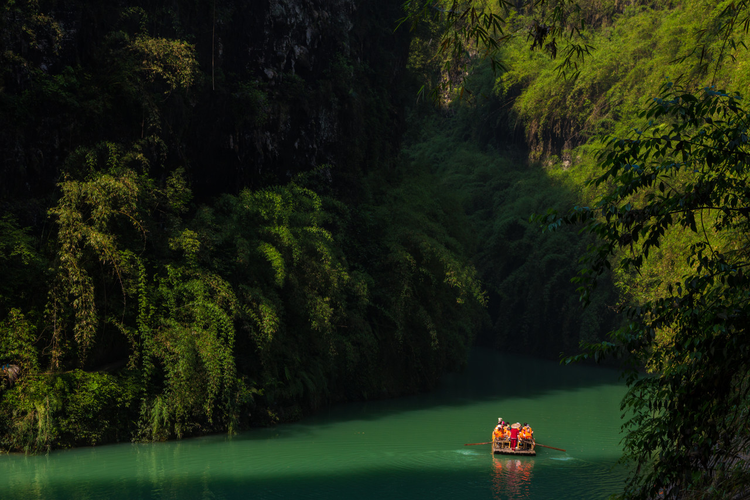 重庆彭水
风光
美食
猴子.jpeg