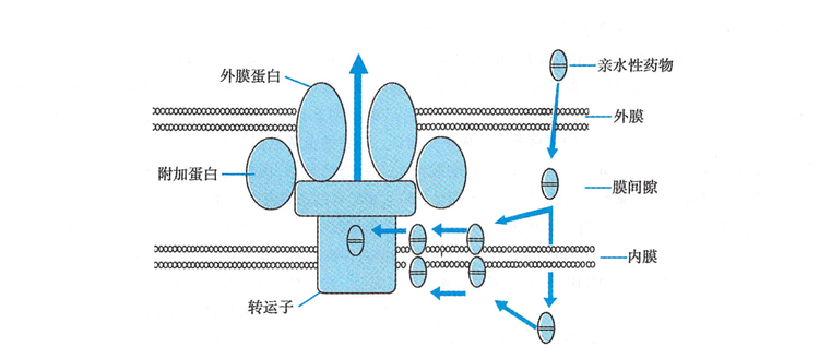 截屏2023-11-11 18.36.png