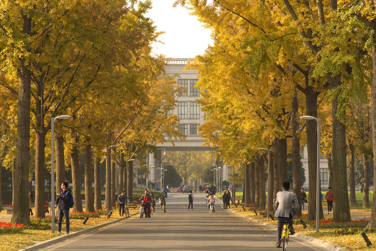 电子科技大学