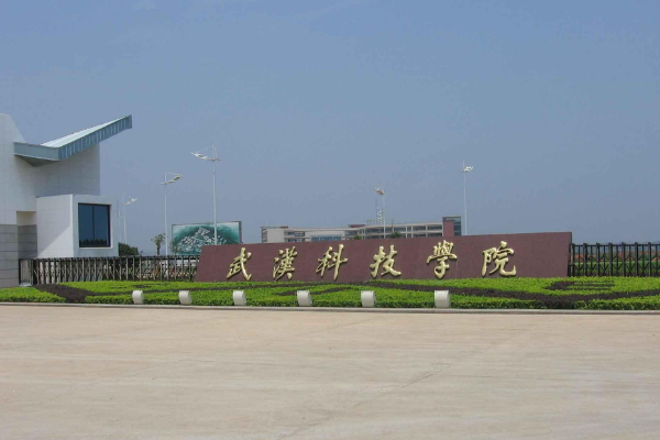 孙志刚案