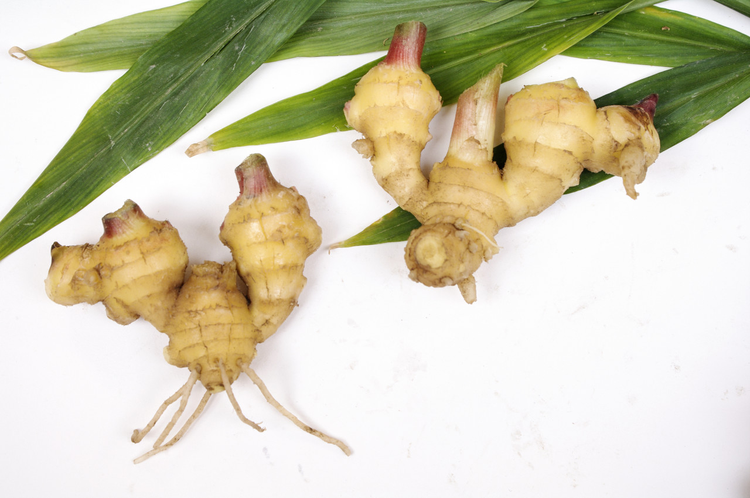 恩施土家族苗族自治州