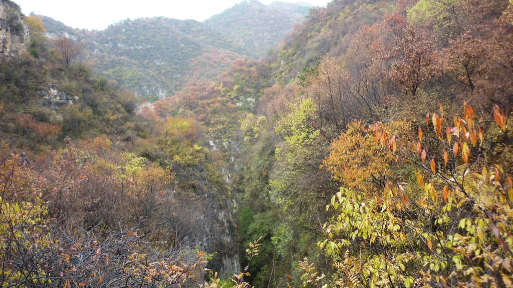 凌井沟自然保护区